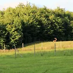 Kantonia