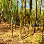 Vakantieboerderij Kantonia *