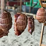Vakantieboerderij Kantonia *