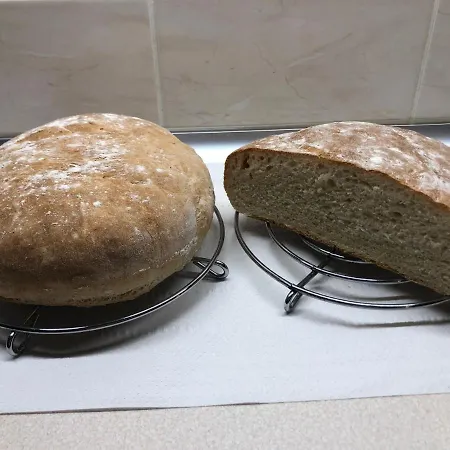 Séjour à la ferme Kantonia Bobolice (Koszalin)