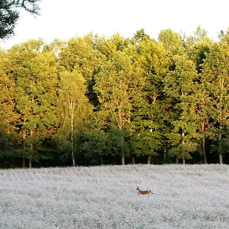 Kantonia Séjour à la ferme Bobolice (Koszalin)