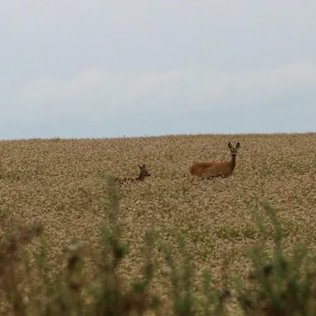 Séjour à la ferme Kantonia