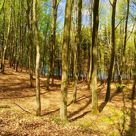 Vakantieboerderij Kantonia *