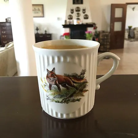 Séjour à la ferme Kantonia Bobolice (Koszalin)