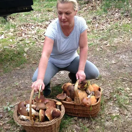 Séjour à la ferme Kantonia Bobolice (Koszalin)
