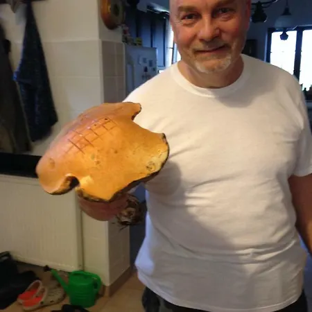 Kantonia Séjour à la ferme