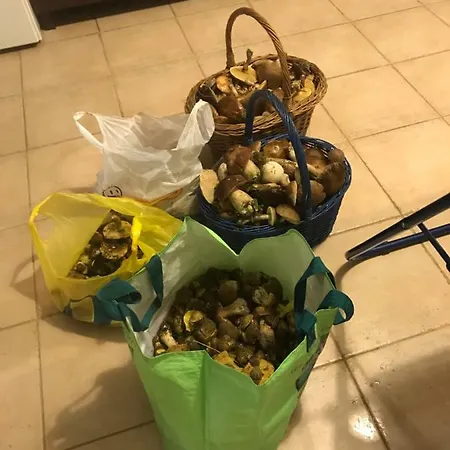 Kantonia * Bobolice (Koszalin)