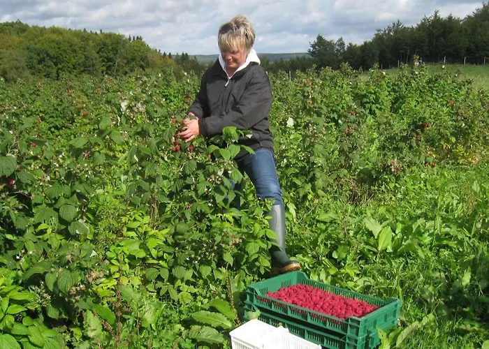 Kantonia * Bobolice (Koszalin)