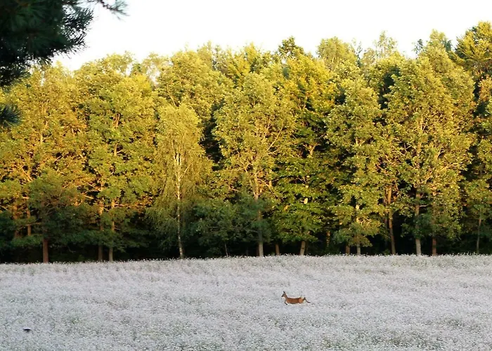 Kantonia Çiftlik konaklama Bobolice (Koszalin)