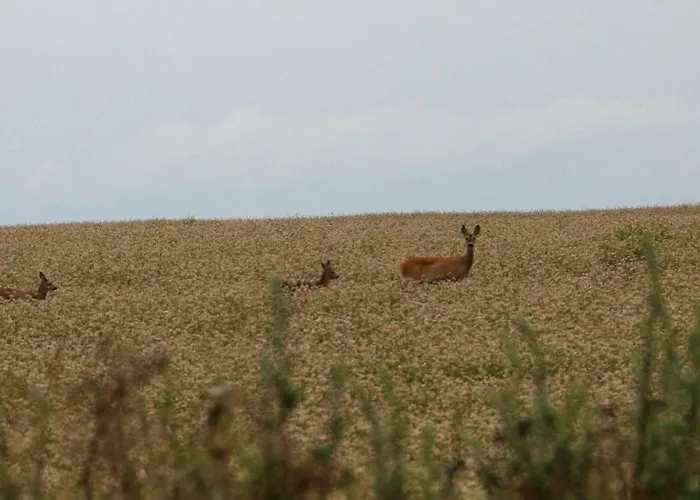 Agroturismo Kantonia