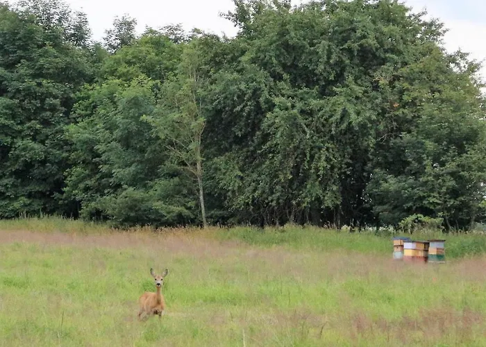 Agroturismo Kantonia