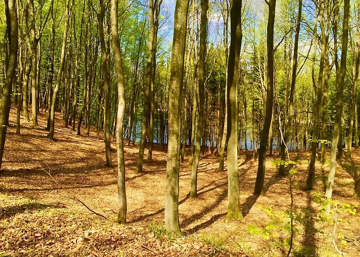 Agroturismo Kantonia *