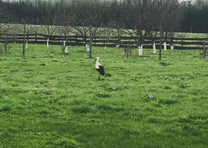 Agroturismo Kantonia