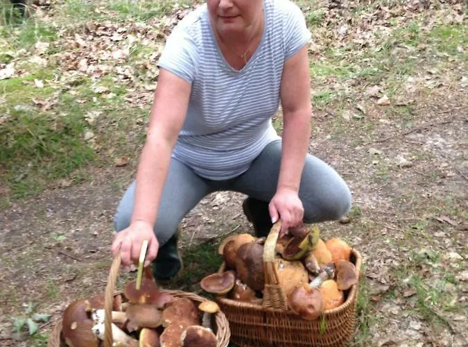 Agroturismo Kantonia Bobolice (Koszalin)