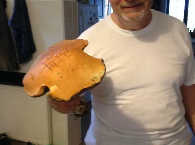 Kantonia Çiftlik konaklama