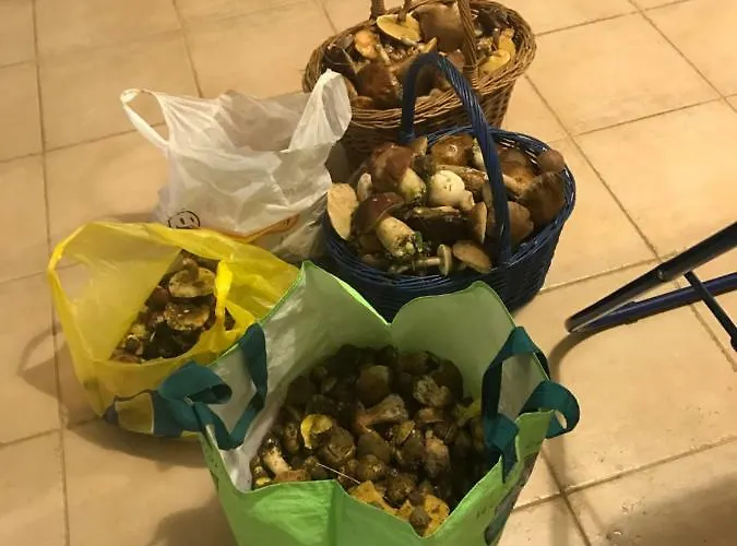 Kantonia * Bobolice (Koszalin)